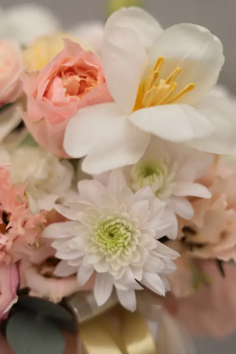 Коробка №45 #3