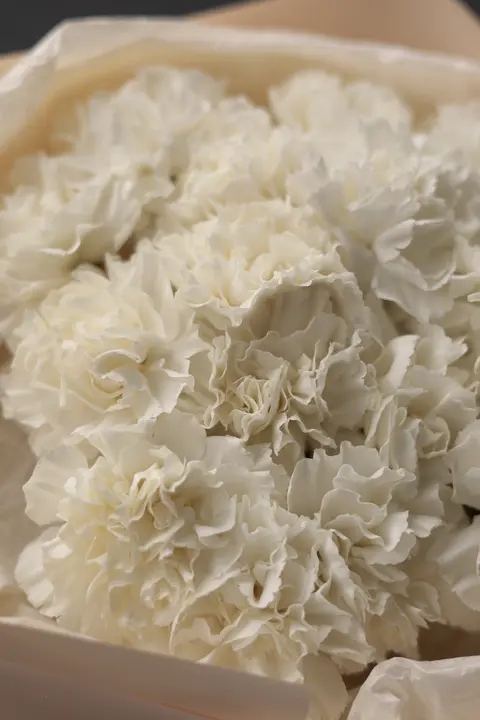 Монобукет из гвоздик #3