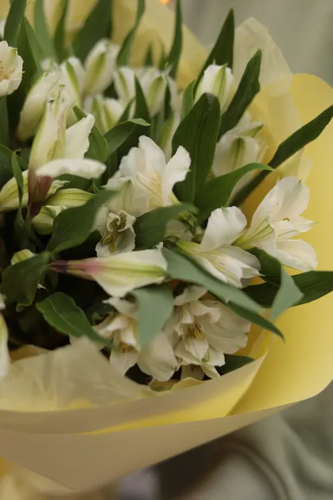 Монобукет из Альстромерии #3