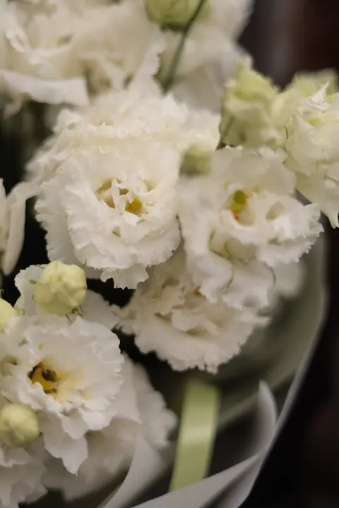 Монобукет из Эустомы