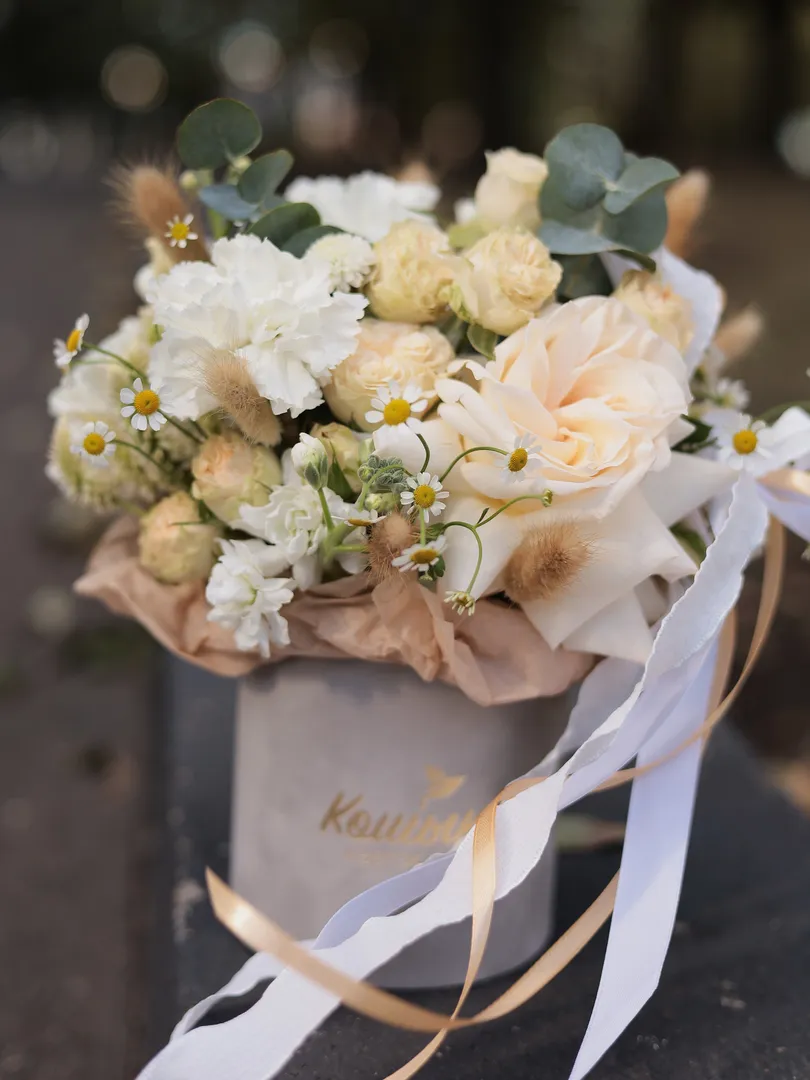 Коробка №55