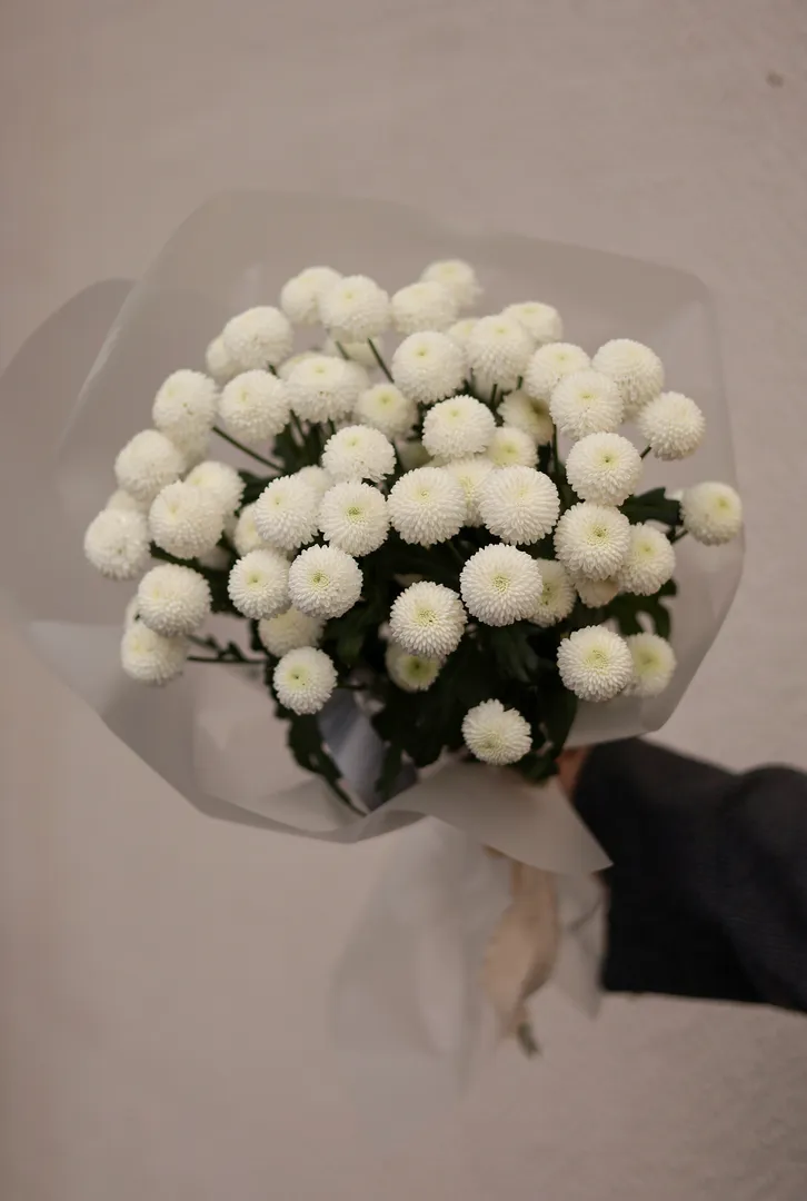 Монобукет из хризантемы Ньютон